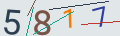 verifycode